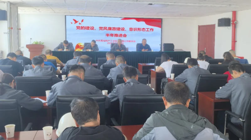 工投公司黨委召開黨的建設(shè)、黨風(fēng)廉政建設(shè)、意識(shí)形態(tài)工作半年推進(jìn)會(huì)