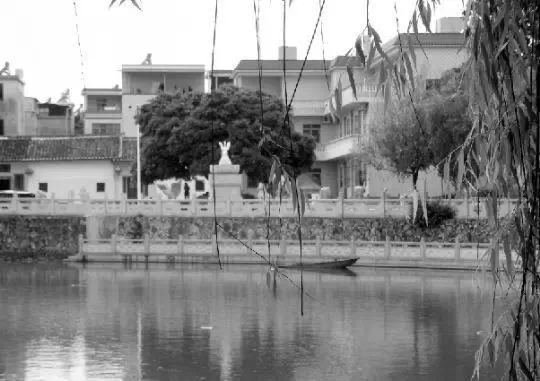 老鄉(xiāng)眼里的李河君：陌生富豪，夫人助其發(fā)財