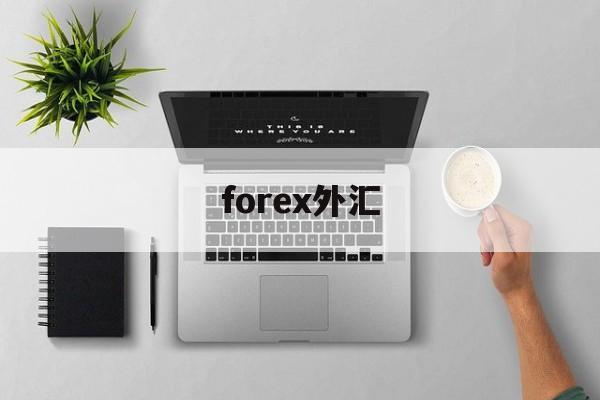 forex外汇(外汇fx交易平台)